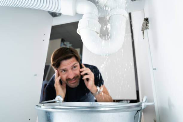 Best Septic Systems  in Conesus Lake, NY